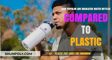 Insulated Water Bottles vs. Plastic: Which is More Popular?