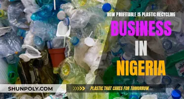 Unveiling Nigeria's Plastic Recycling Profits: A Sustainable Business Venture