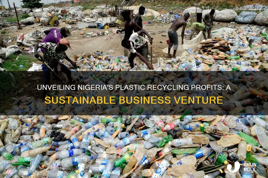 how profitable is plastic recycling business in nigeria