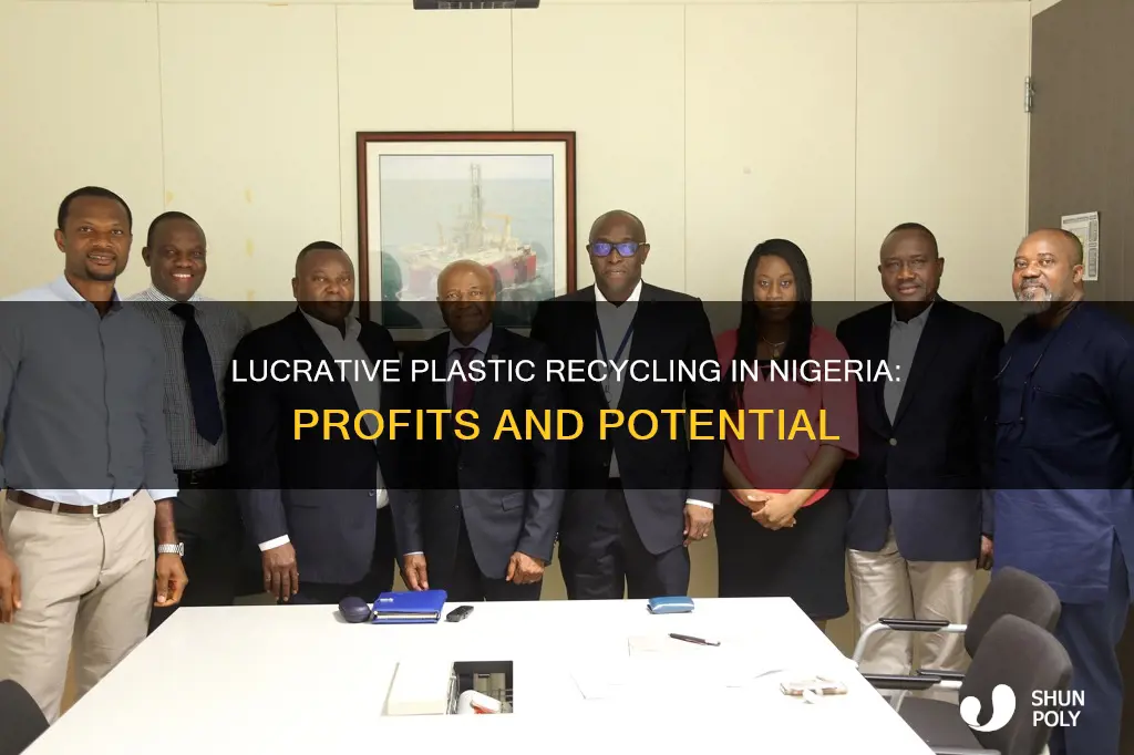 how profitable is plastic recycling business in nigeria