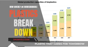 Biodegradable Plastics: Understanding Their Breakdown Process
