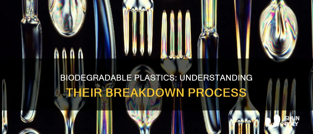how quickly do biodegradable plastics break down