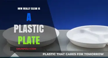 Are Plastic Plates Truly Clean? Uncovering Hidden Hygiene Concerns
