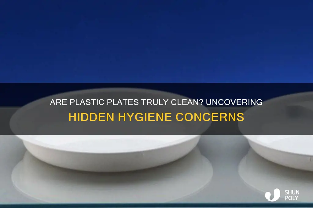 how really clean is a plastic plate