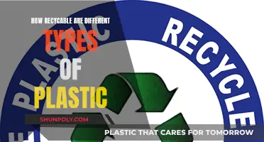 Exploring the Recyclability of Various Plastics