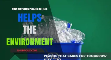 Recycling Plastic Bottles: A Simple Step Towards a Greener Planet