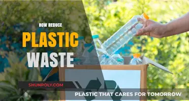 Simple Steps to Slash Your Plastic Waste Today