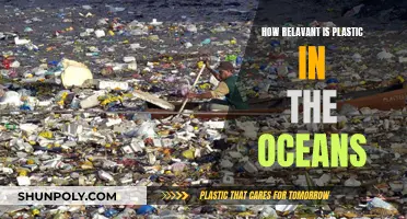 Plastic Pollution: Oceans in Peril