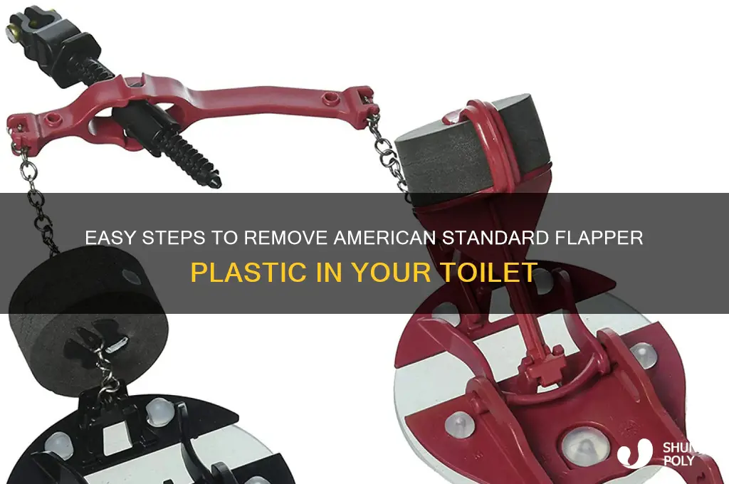 how remove american standard flapper plastic