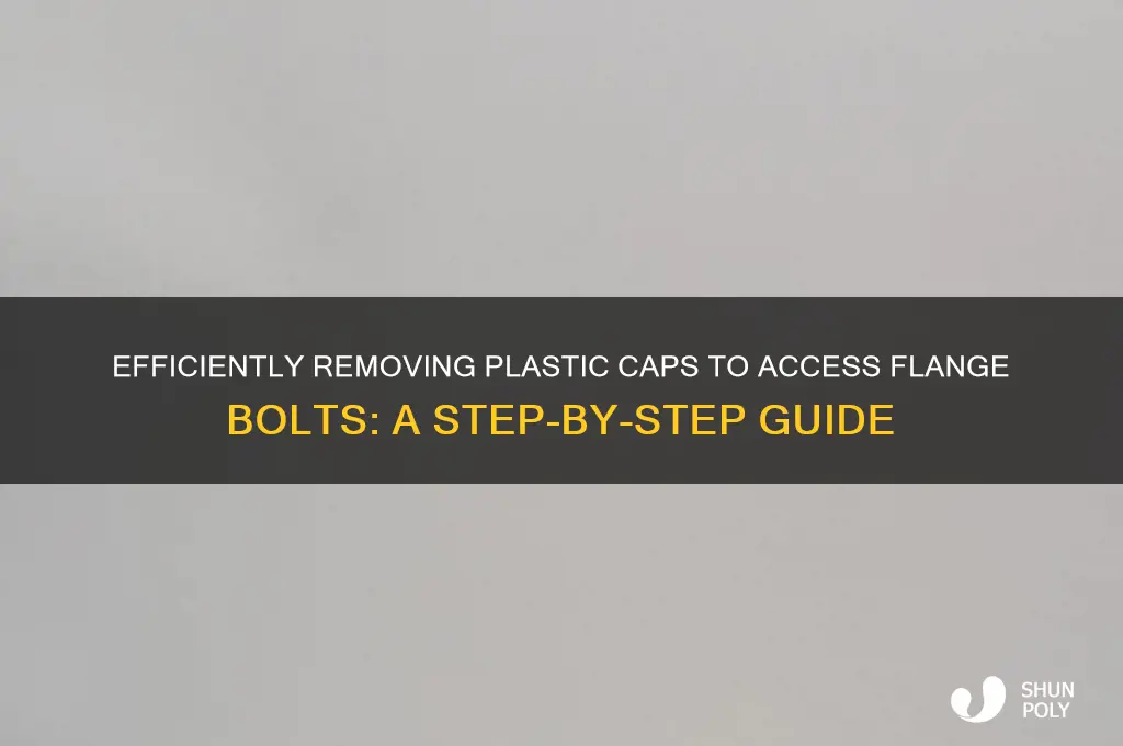 how remove plastic caps to get to flange bolts