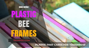 Sustainable Beekeeping: Innovative Ways to Reuse Plastic Bee Frames