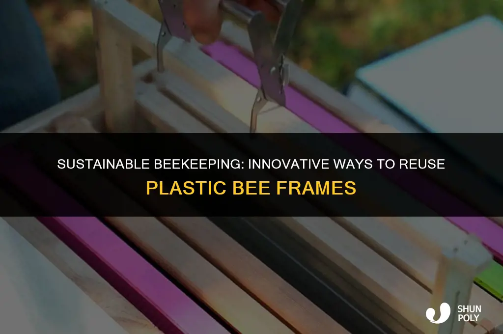 how reuse plastic bee frames