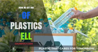 Effective Strategies to Eliminate Plastic Waste and Save the Environment