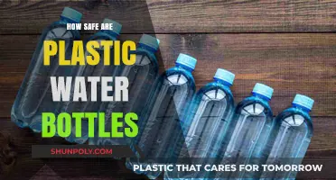 Are Plastic Water Bottles Safe for Daily Use?