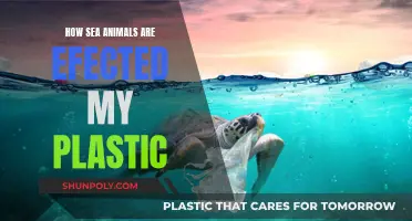 Plastic Pollution: A Deadly Threat to Marine Life