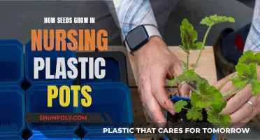 Seeds' Growth Secrets in Plastic Pots Revealed