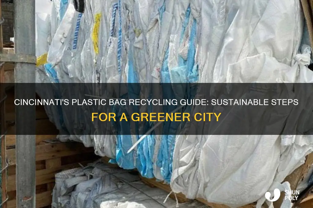 how should plastic bags be recycled in cincinnati