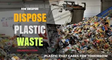 Sustainable Solutions: Singapore's Innovative Approach to Plastic Waste Disposal