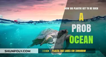Plastic's Ocean Crisis: Tracing Its Journey to a Global Problem
