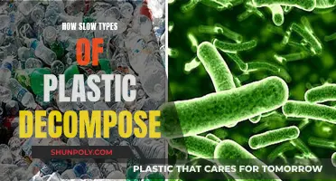 The Slow Decay of Plastic: Understanding Decomposition