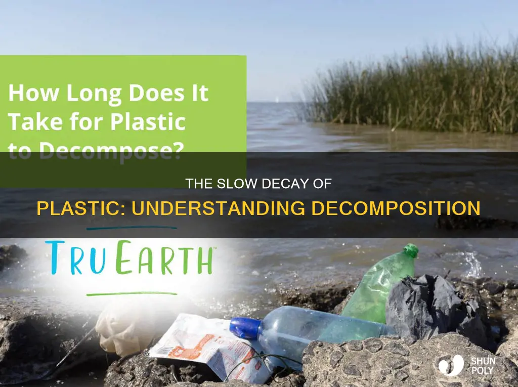how slow types of plastic decompose