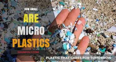 Unseen Invaders: The Hidden Menace of Microplastics in Our Environment