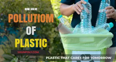Combatting Plastic Pollution: Innovative Solutions for a Greener Future