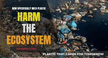 Plastic Pollution: Ecosystem Harm and Devastation