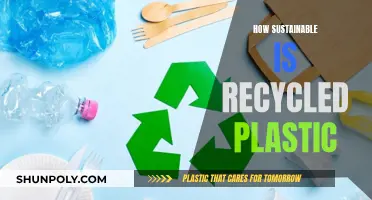 Unraveling the Green Myth: Recycled Plastic's True Sustainability