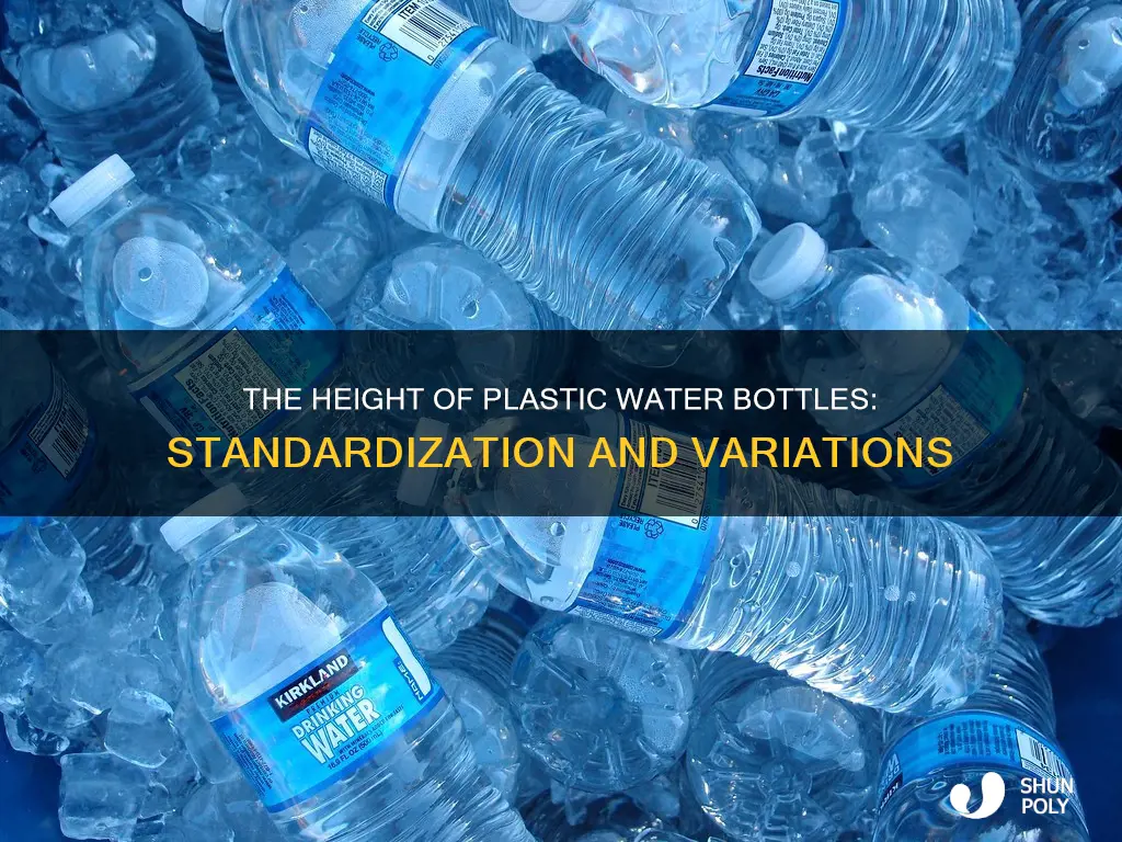 how tall is a plastic water bogtle