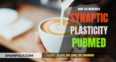Tea's Neuroplasticity Benefits: PubMed Explores Synaptic Changes