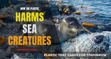 Plastic's Impact: Devastating Sea Life