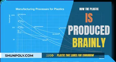 The Evolution of Plastic Production