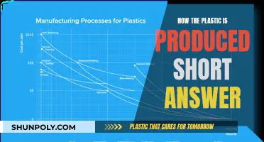 The Evolution of Plastic Production