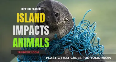 The Plastic Island: A Death Trap for Animals