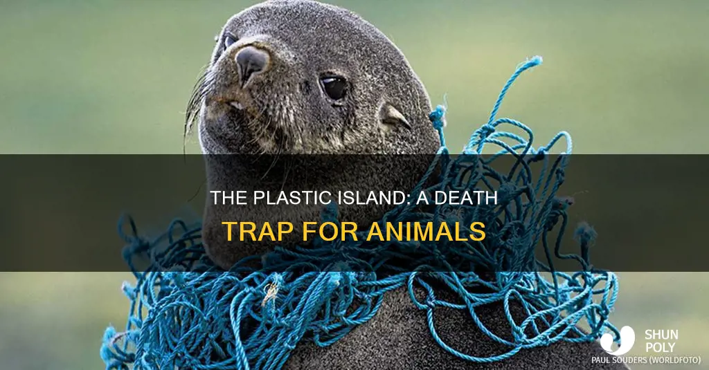 how the plastic island impacts animals