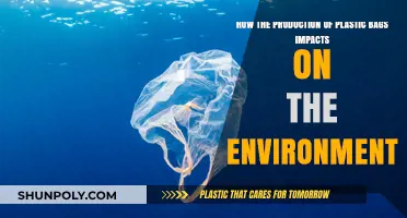 Plastic Bag Production: Environmental Costs and Sustainable Alternatives