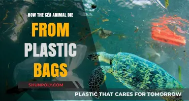 Plastic Bags in Oceans: A Deadly Threat to Marine Life