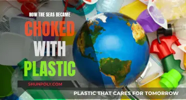 Plastic Pollution: Oceans Choked by Human Waste