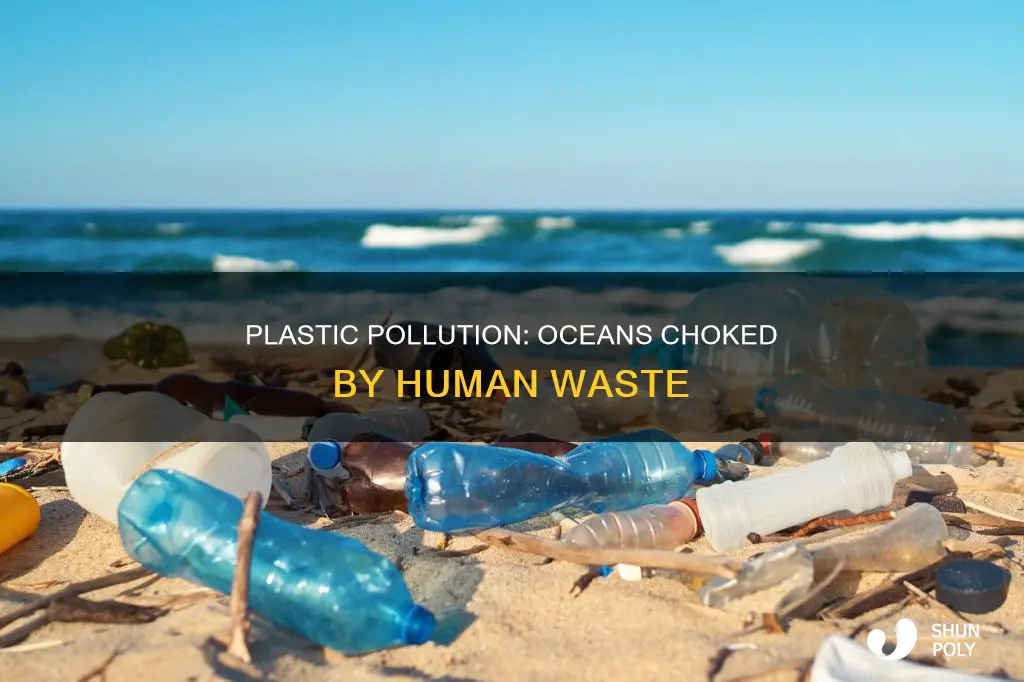 how the seas became choked with plastic