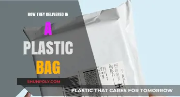 Plastic Bag Delivery: Unconventional Methods and Unexpected Outcomes