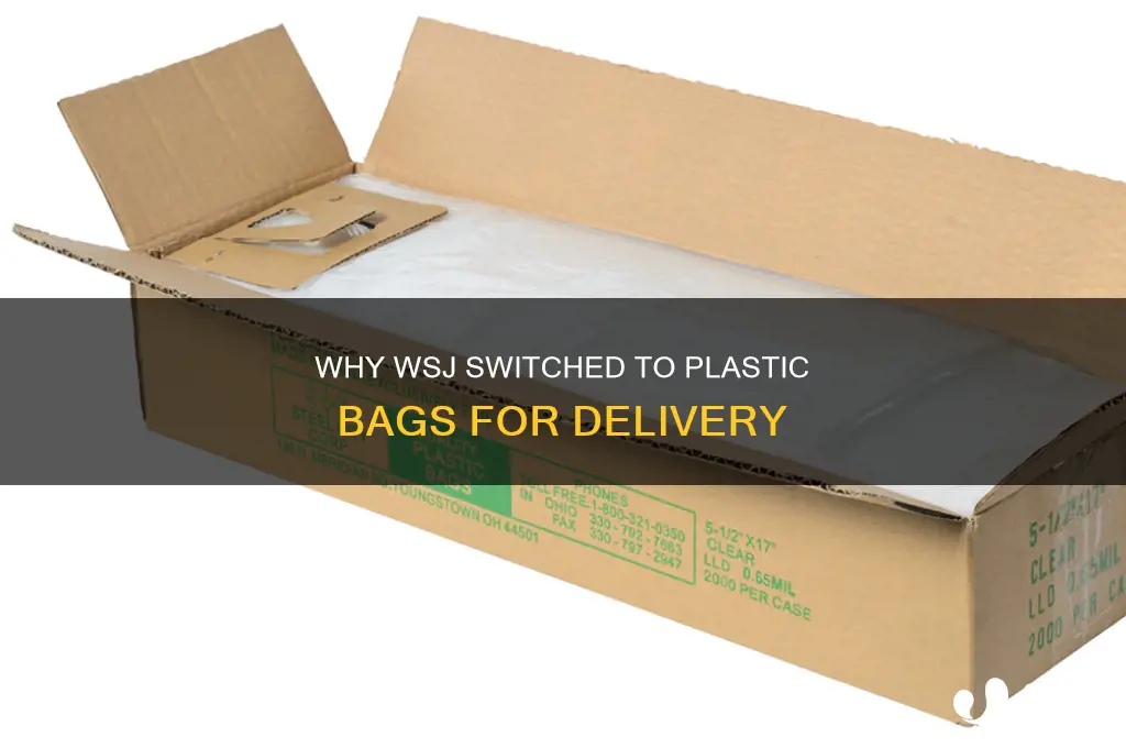 how they delivered wsj in a plastic bag