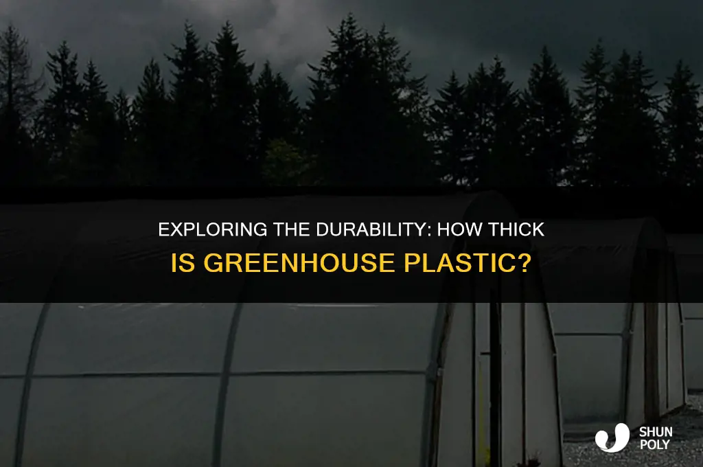 how thick is greenhouse plastic