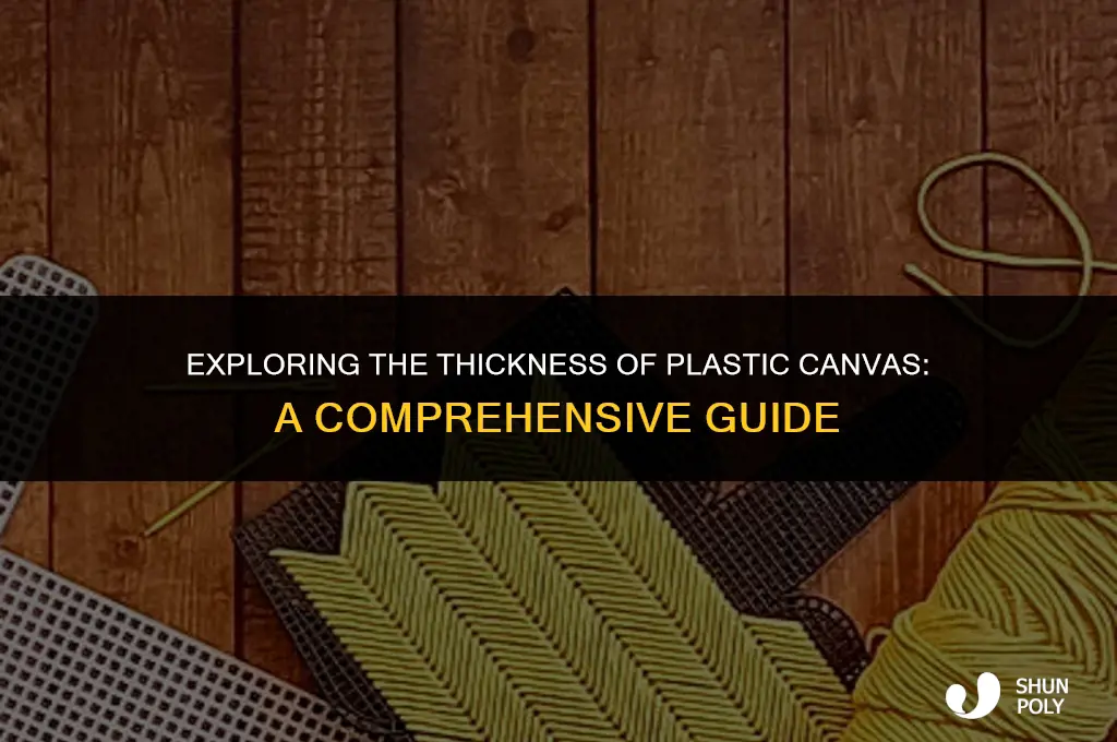 how thick is plastic canvas