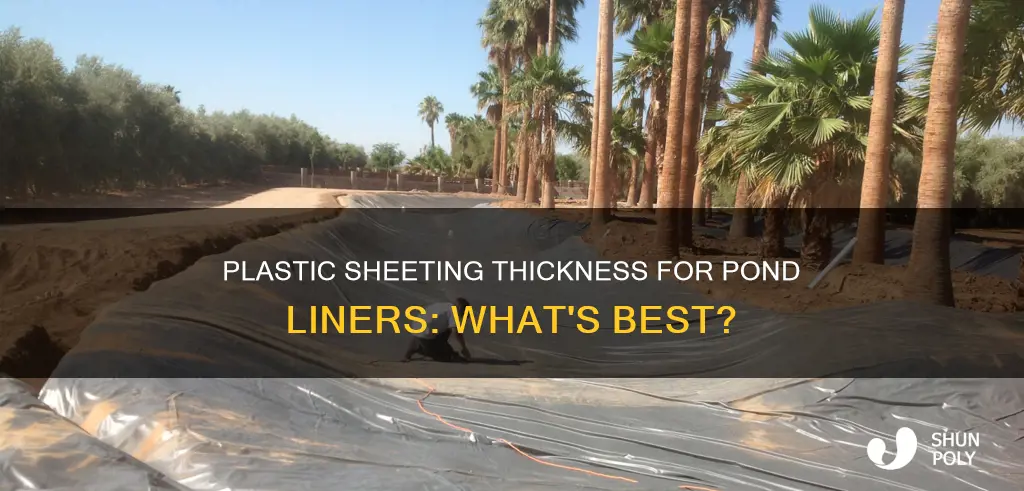 how thick plastic sheeting for pond