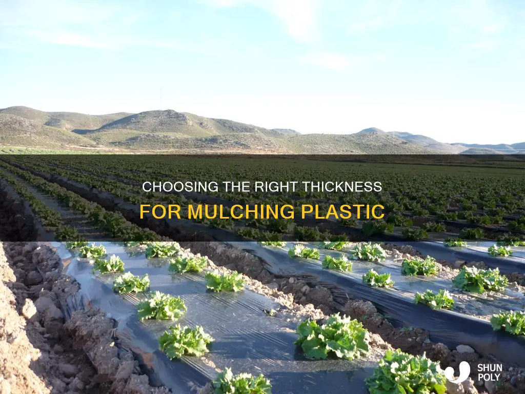 how thick should mulching plastic be