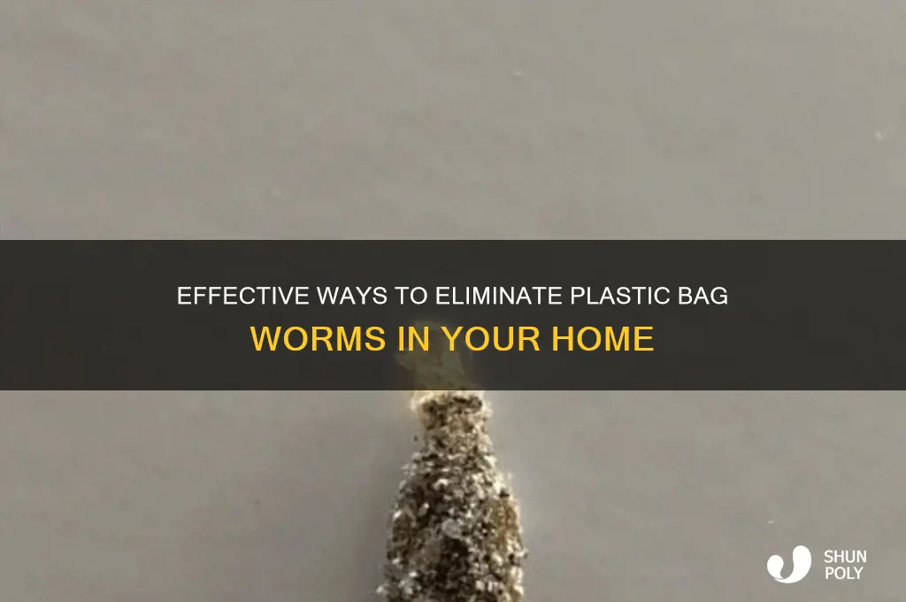 how ti kill plastic bag worms