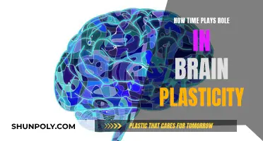 Time's Role in Unlocking Brain Plasticity