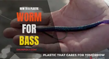 Plastic Worm Bass Fishing: Mastering the Art