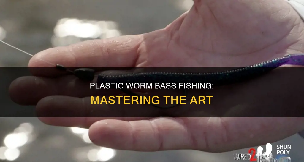 how to a plastic worm for bass